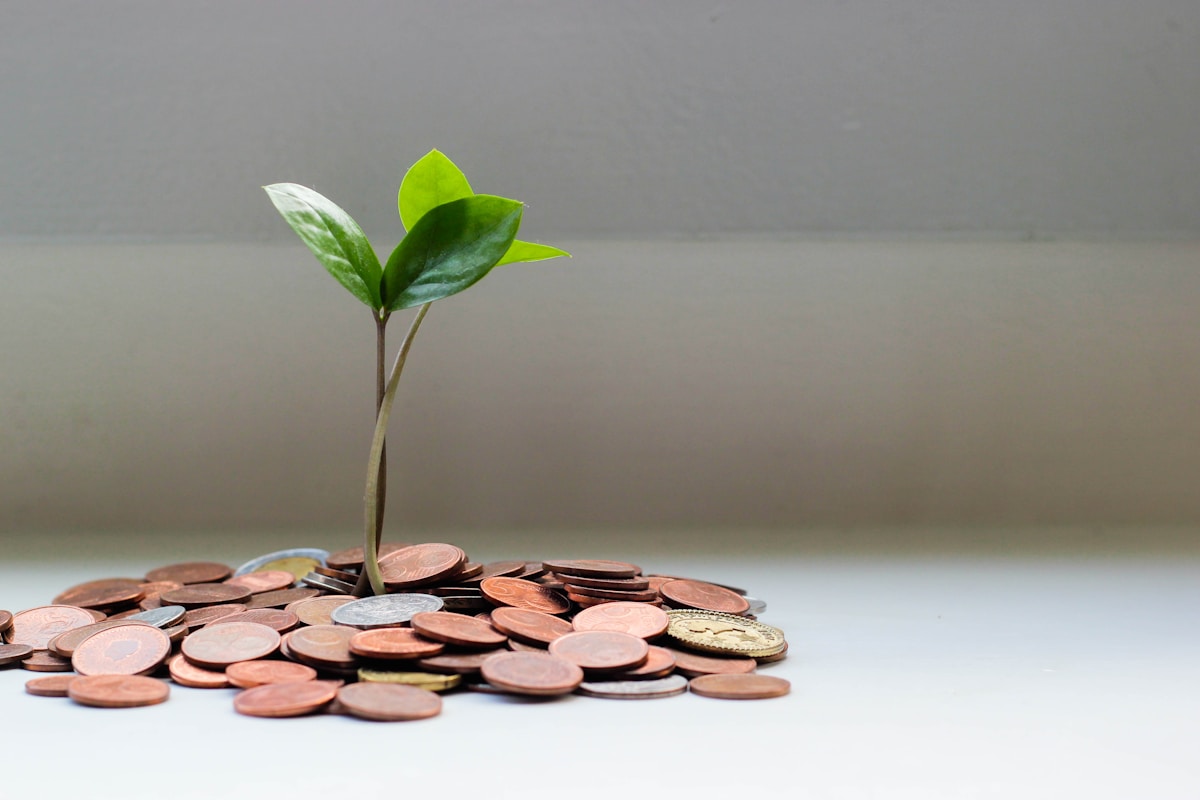 Presupuesto y Finanzas del Hogar
